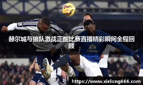 球速体育登录入口