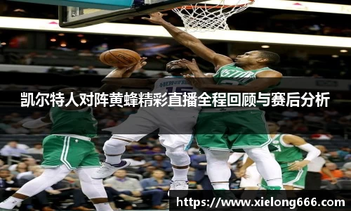 球速体育官方网站